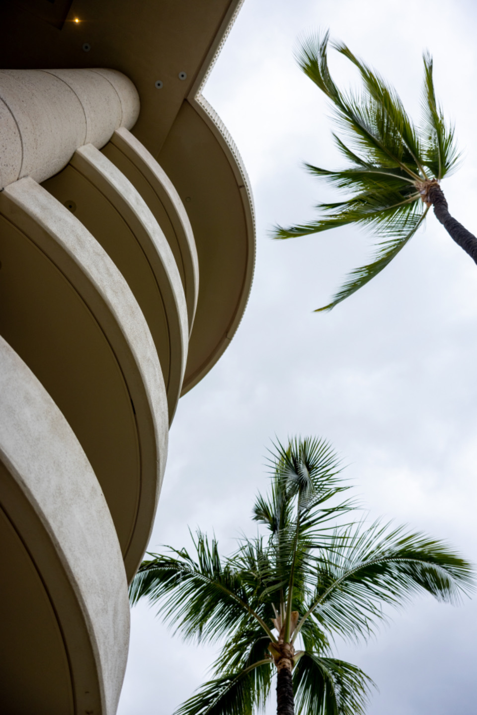 Residential balconies framed by palm trees