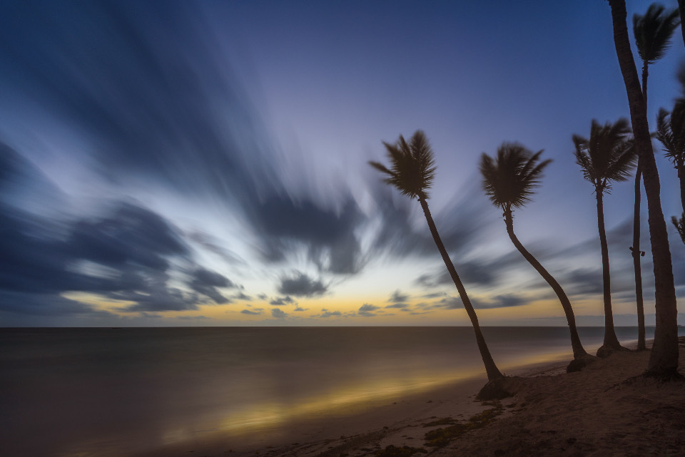 Palm trees along a tropical shoreline at dusk