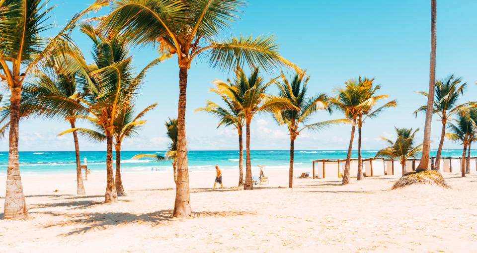 Palm-lined beach beside clear blue water
